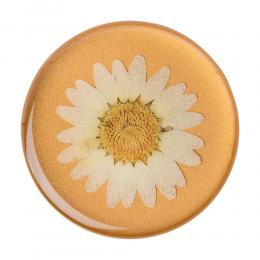 PopSockets Avtagbart Grip med Ställfunktion Premium Pressed Flower White Daisy
