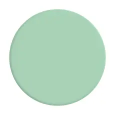 PopSockets Basic Grip Pastell Mint