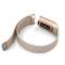 Milanese Loop Metall Armband Fitbit Charge 4/3 Champagne Guld