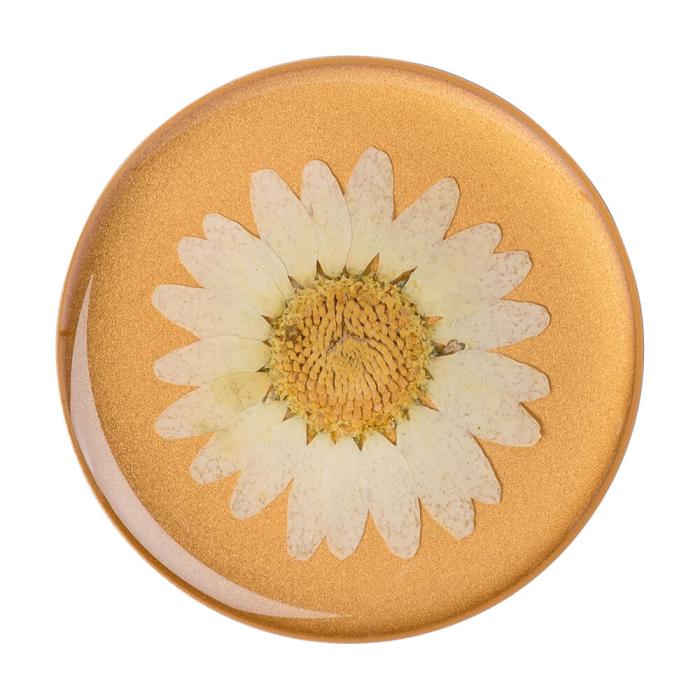 Bild 1, PopSockets Avtagbart Grip med Ställfunktion Premium Pressed Flower White Daisy
