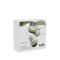 Sudio T2 True Wireless In-Ear Hörlurar Jade