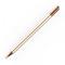 Tech-Protect Charm Stylus Touch Penna Champagne Guld