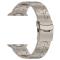 Apple Watch 41/40/38 mm Armband Steel Titanium